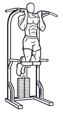 Assisted Chin-up illustration