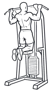 Assisted Pull-up illustration