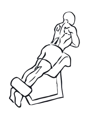 Back Extension illustration
