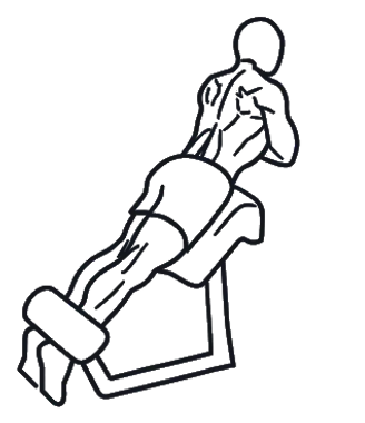 Back Extension, position 2 of 3