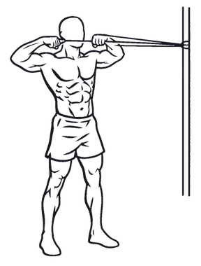 Banded Face Pull illustration