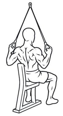 Banded Lat Pulldown illustration