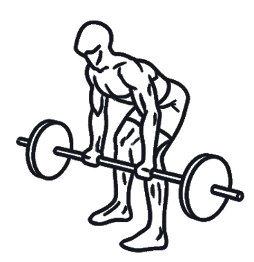 Barbell Row, position 2 of 3