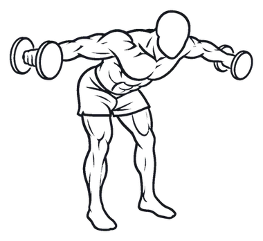Bent-Over Rear Delt Raise illustration