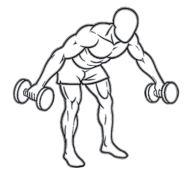 Bent-Over Rear Delt Raise, position 2 of 3