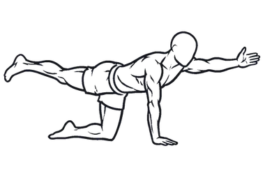 Bird Dog illustration