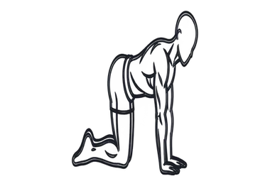 Bird Dog, position 2 of 3