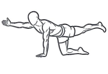 Bird Dog, position 3 of 3