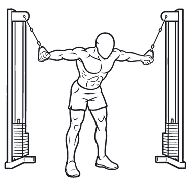 Cable Rear Delt Fly illustration