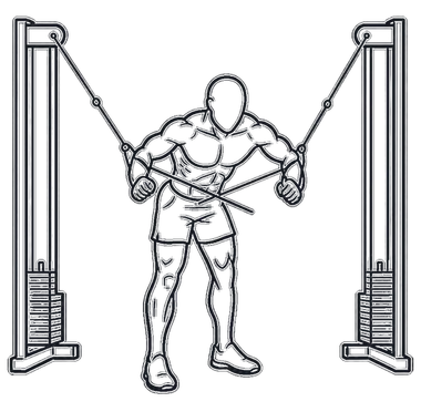 Cable Rear Delt Fly, position 2 of 3