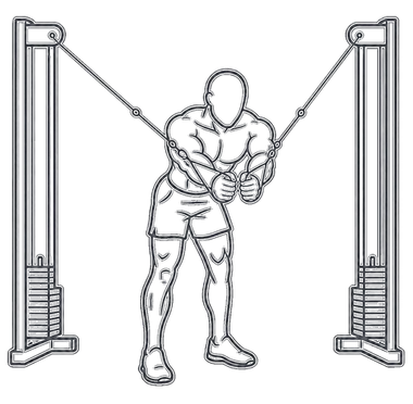 Cable Rear Delt Fly, position 3 of 3