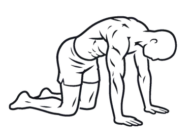 Cat-Cow Stretch illustration