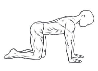 Cat-Cow Stretch, position 2 of 3