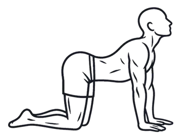 Cat-Cow Stretch, position 3 of 3