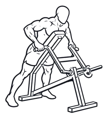 Chest Supported Row illustration