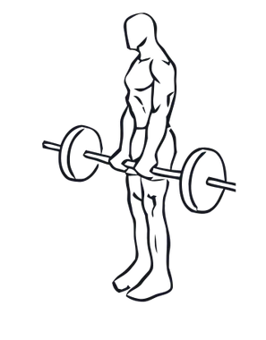 Deadlift illustration