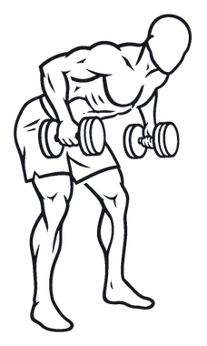 Dumbbell Bent Over Row illustration