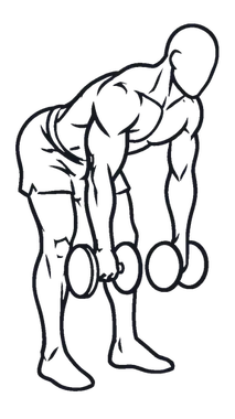 Dumbbell Romanian Deadlift illustration