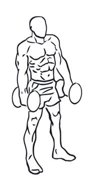 Dumbbell Shrug illustration
