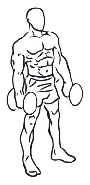 Dumbbell Shrug, position 3 of 3