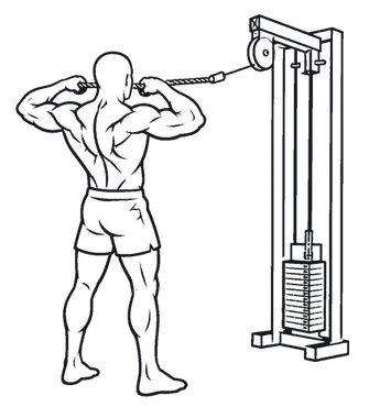 Face Pull illustration