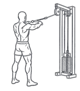 Face Pull, position 2 of 3