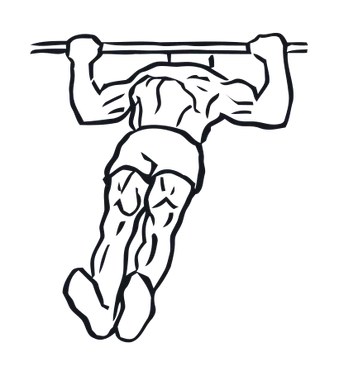 Inverted Row illustration