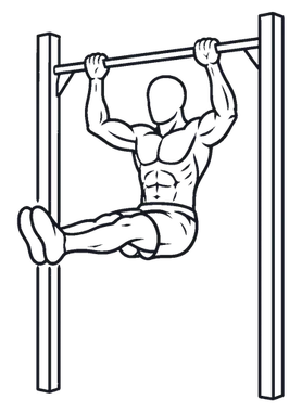 L-Sit Pull-up illustration