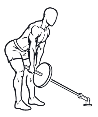 Landmine Romanian Deadlift illustration