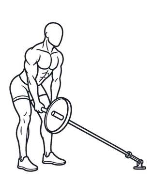 Landmine Romanian Deadlift, position 2 of 3