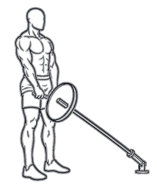 Landmine Romanian Deadlift, position 3 of 3