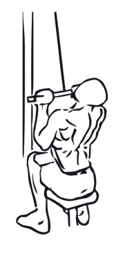 Lat Pulldown illustration