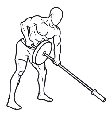 Meadows Row illustration