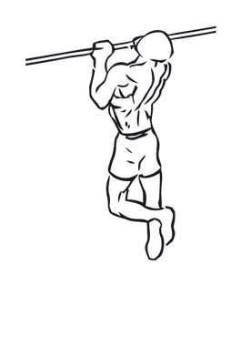 Neutral-Grip Pull-up illustration