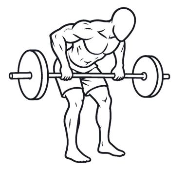 Pendlay Row illustration