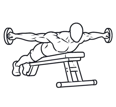 Prone T Raise illustration