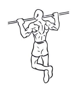 Pull-up illustration