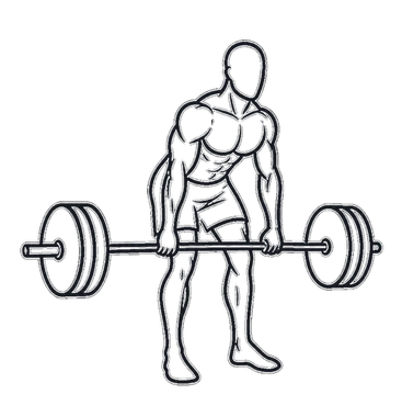 Rack Pull, position 2 of 3