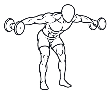 Rear Delt Fly illustration