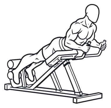 Reverse Hyperextension illustration