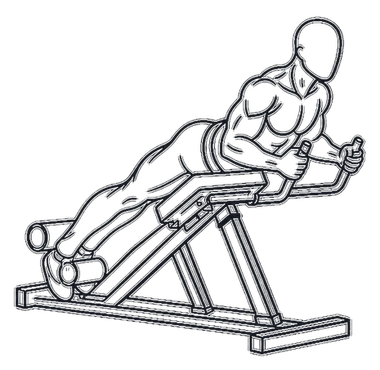 Reverse Hyperextension, position 2 of 3