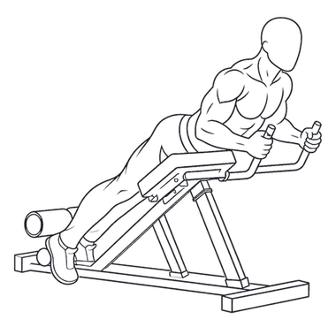 Reverse Hyperextension, position 3 of 3