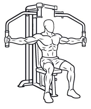 Reverse Pec Deck illustration