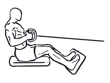 Seated Cable Row illustration
