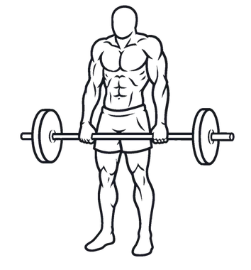 Barbell Shrug illustration