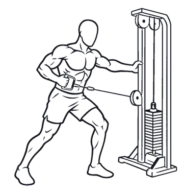 Single-Arm Cable Row illustration