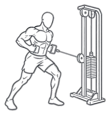 Single-Arm Cable Row, position 2 of 3
