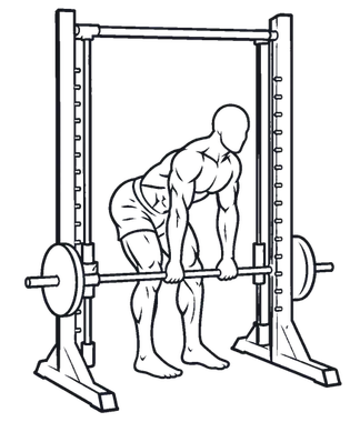 Smith Machine Romanian Deadlift illustration