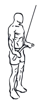 Straight-Arm Pulldown illustration