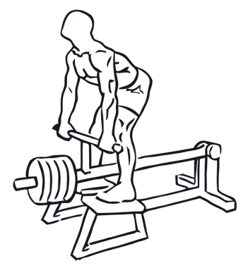 T-Bar Row, position 3 of 3